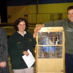 Tabu dog export from NZ to Perth Australia