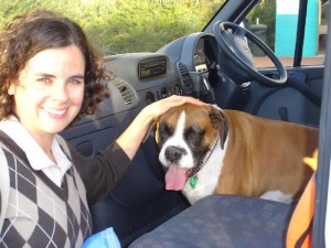 Tabu dog transport from NZ to Perth Australia