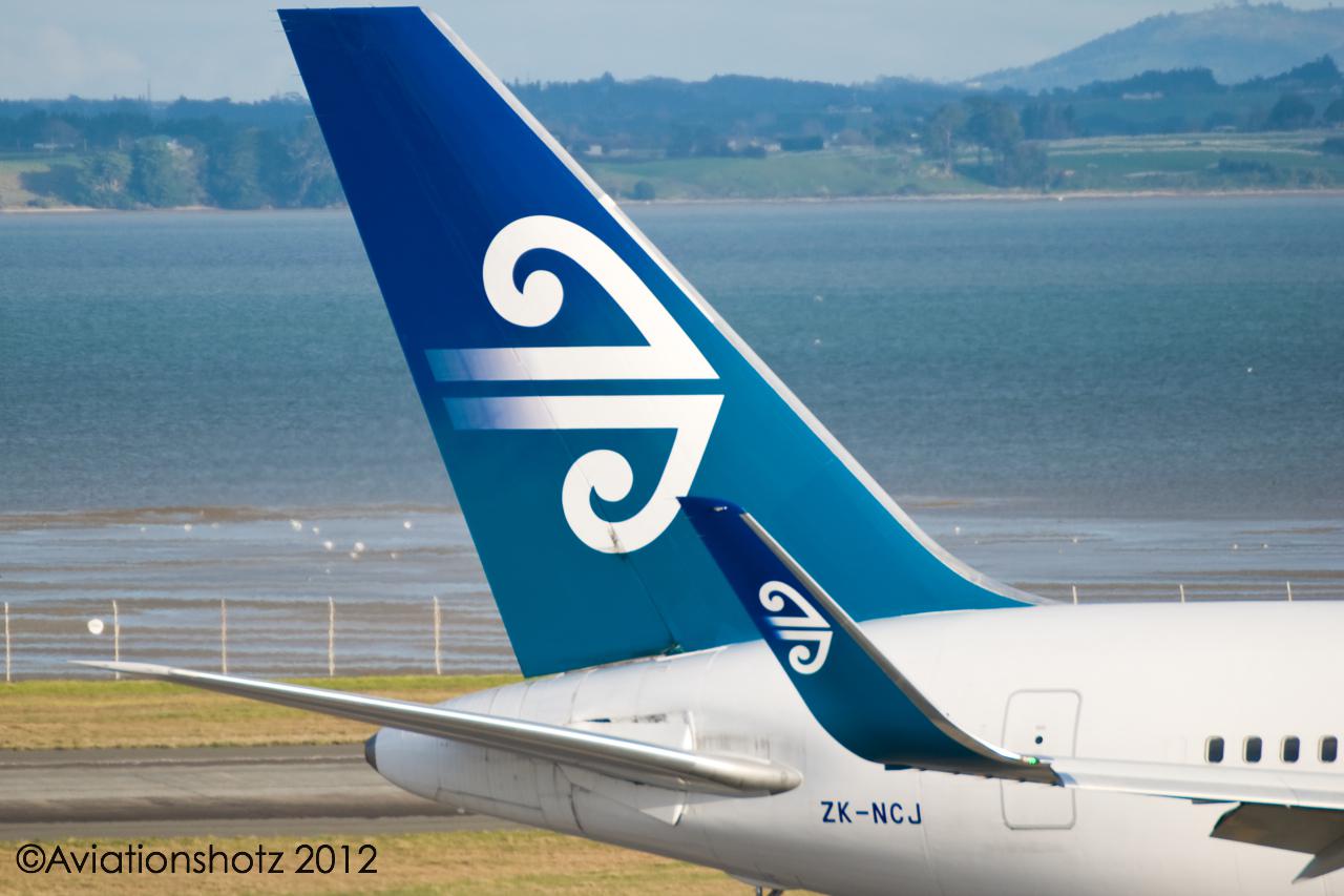 pet air travel nz