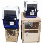 pet transport cages for rent