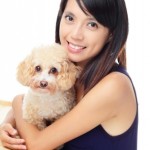 pet transport dog to hong kong