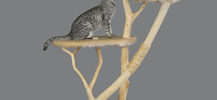 Scratching Post